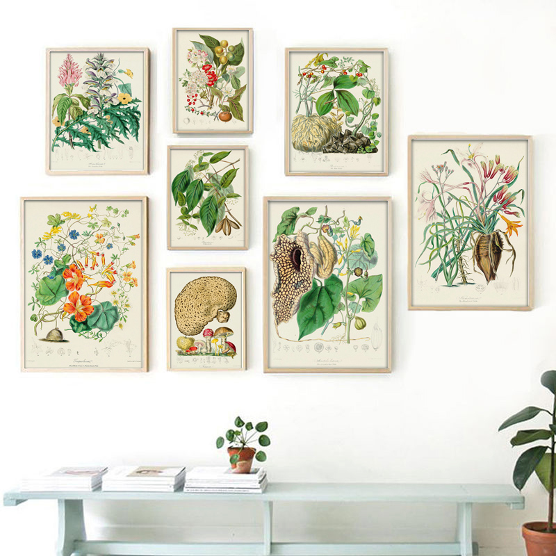 Vintage Collectible Posters - ชุดสะสมภาพพิมพ์โปสเตอร์วินเทจแนวพฤกษศาสตร์ ภาพติดผนังสมุนไพร ภาพวาดผ้าใบต้นไม้ ของตกแต่งผนังห้องนั่งเล่น