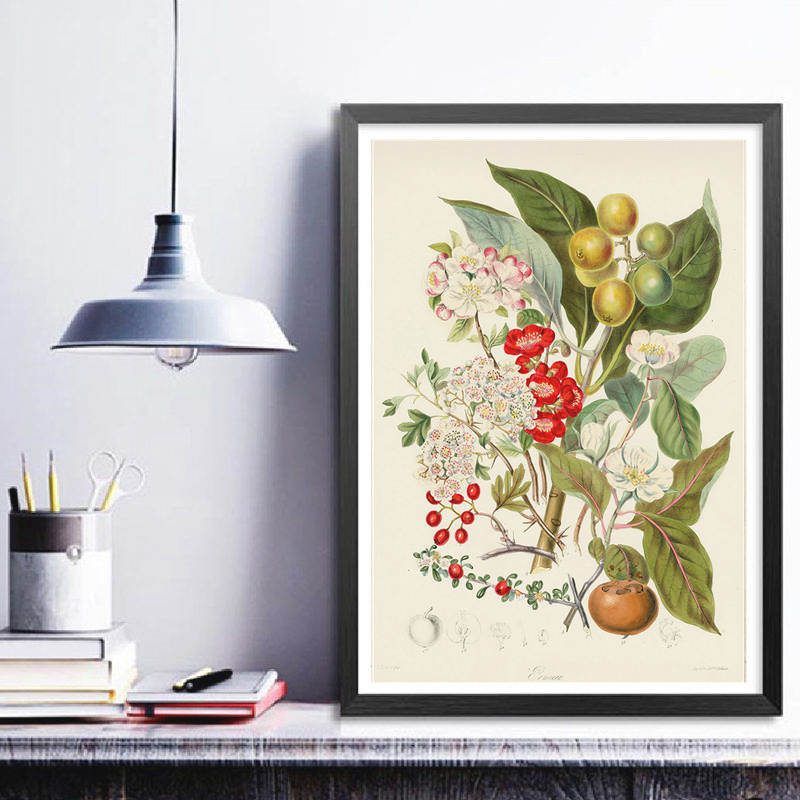 ชุดสะสมภาพพิมพ์โปสเตอร์วินเทจแ - Vintage Collectible Posters บทวิจารณ์และราคา