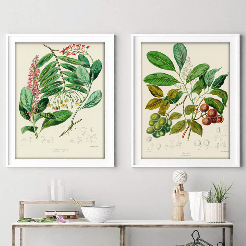 ชุดสะสมภาพพิมพ์โปสเตอร์วินเทจแ - Vintage Collectible Posters บทวิจารณ์และราคา